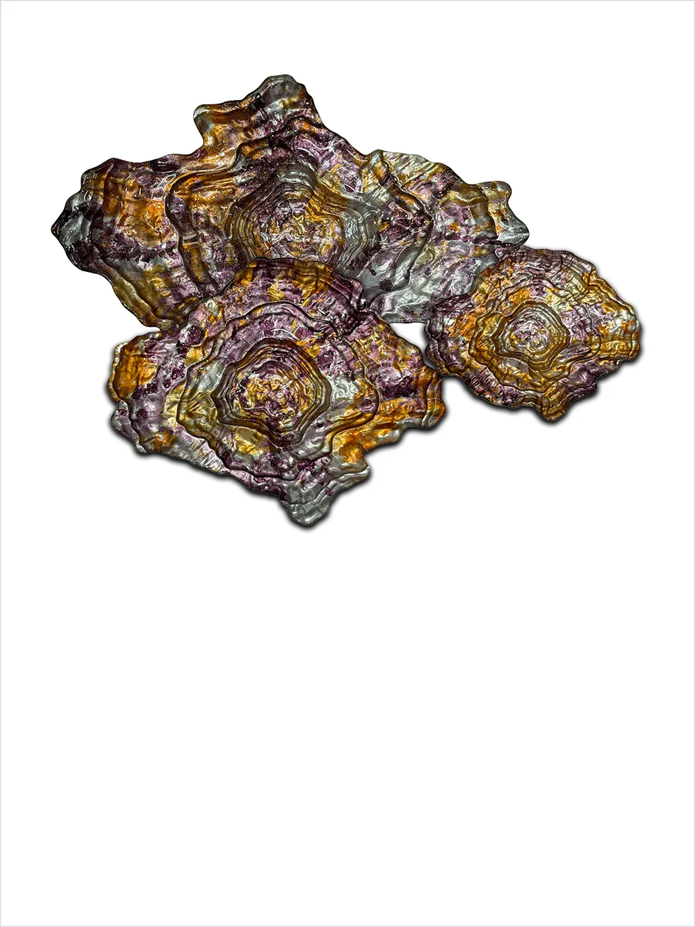 ../frankl24shop/img_69a6ae7ad3af75.94498517